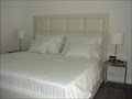 DSC02213.jpg